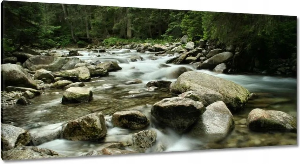 Képek 115x55 Tátra Lengyel hegyek Kilátás