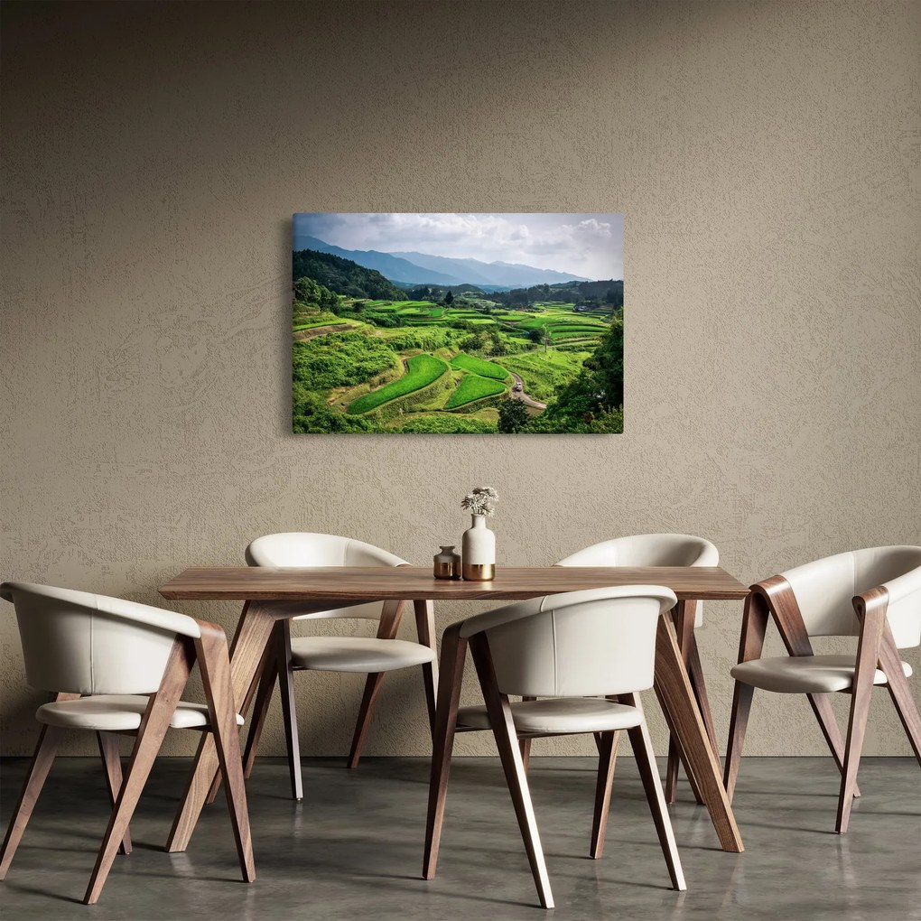 Rizsmező képe (90x60 cm)