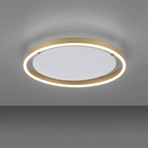 Leuchten Direkt 15391-60 - LED Dimmelhető mennyezeti lámpa RITUS LED/20W/230V