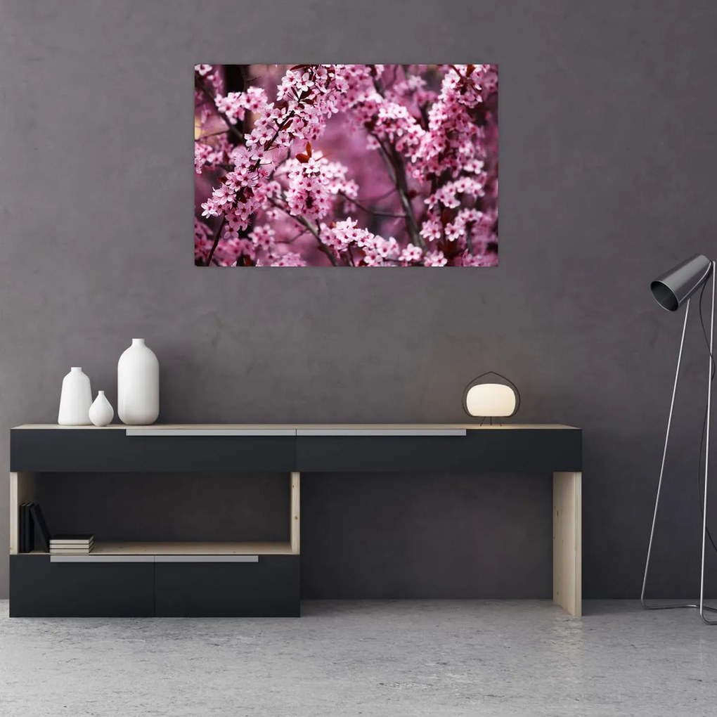 Kép - Rózsaszín sakura (90x60 cm)