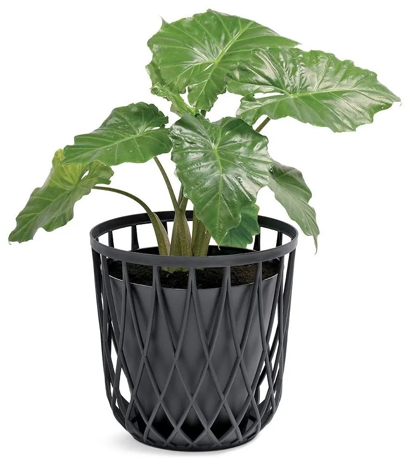 Univerzális kosár, 20 l, antracit