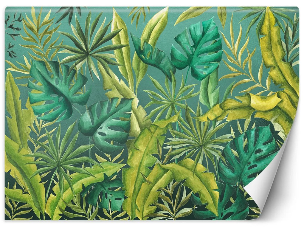 Gario Fotótapéta Zöld monstera sötétzöld alapon Anyag: Vlies, Méret: 100 x 70 cm