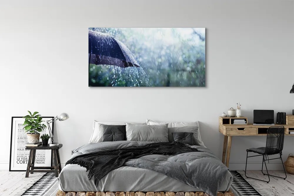 Akrilkép Esernyő eső esik 100x50 cm