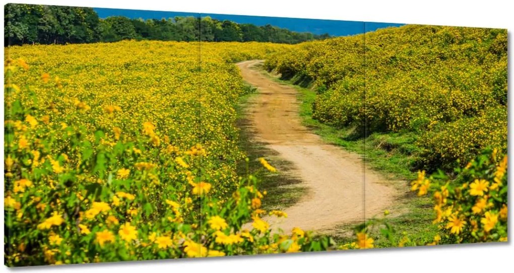 Festmények 120x60 Falusi tejút