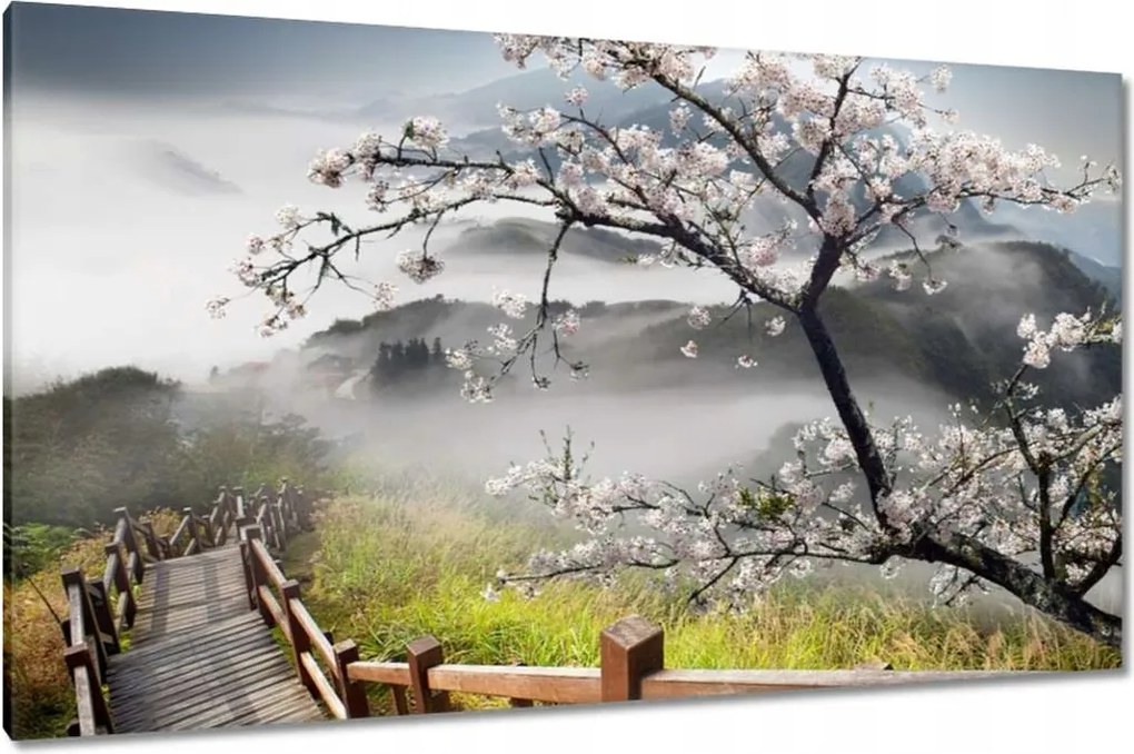 Vászonkép 120x70 Japán Virágzó cseresznye