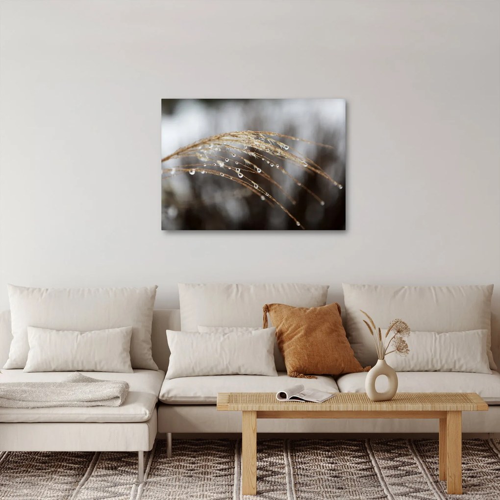 Cseppkép egy növényen (70x50 cm)
