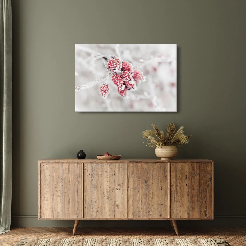 Kép - Fagyasztott gyümölcsök (90x60 cm)