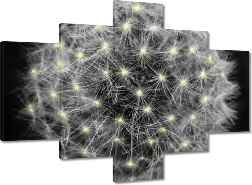 Vászonkép 100x70 Pitypang Virág Virágok