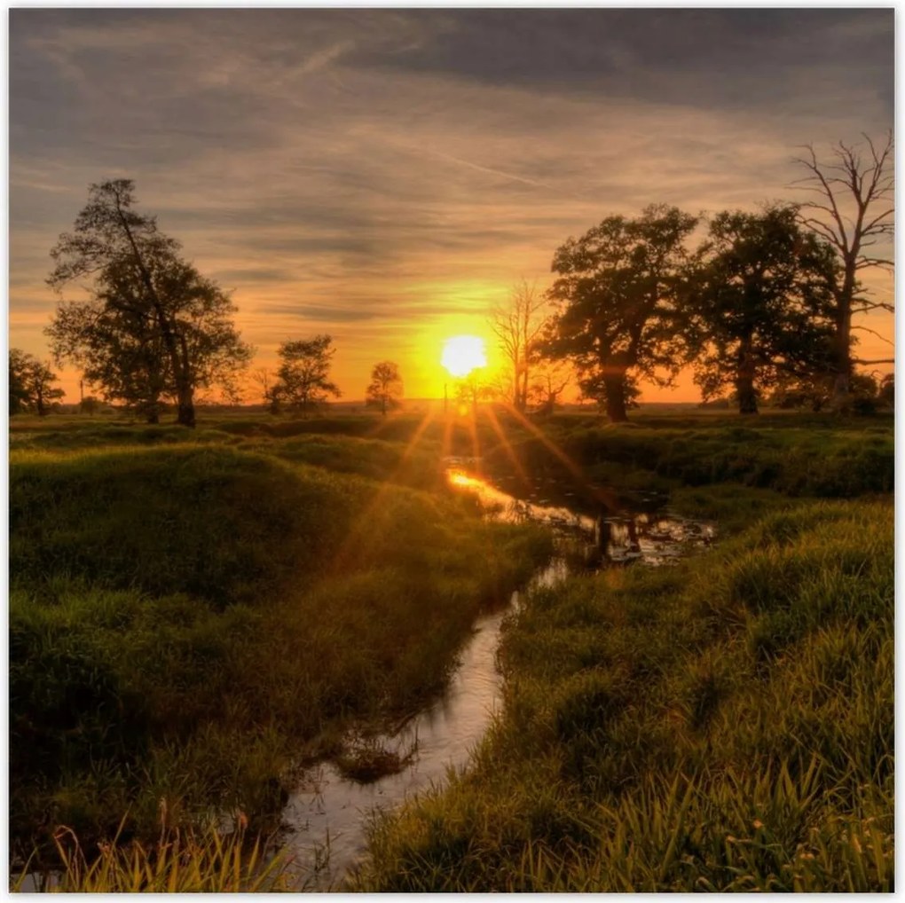 Poszterek 100x100 Lenyugvó nap Rogalin