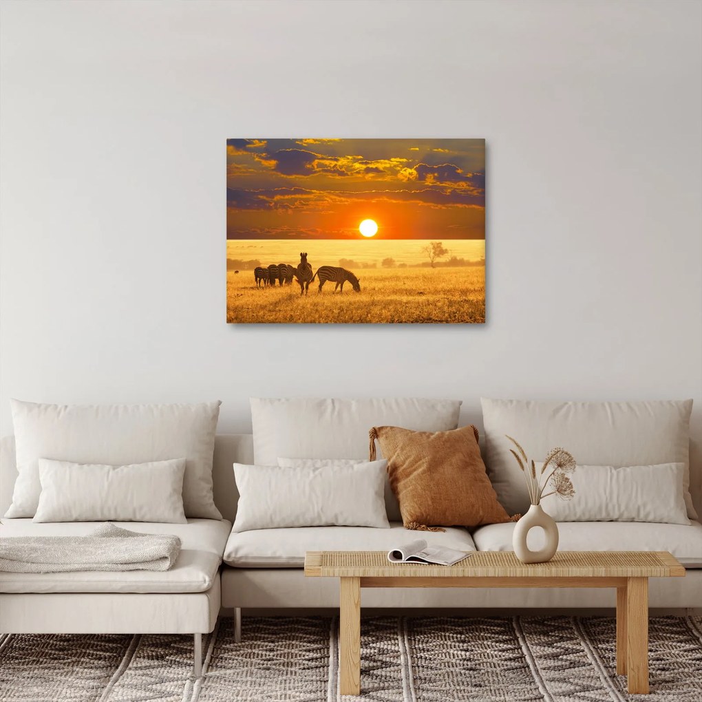 Kép - Zebrák naplementével (70x50 cm)