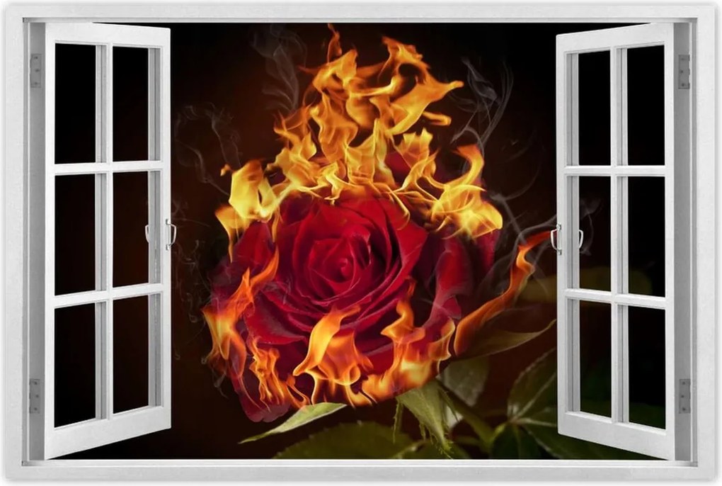 Poszter 60x40 Vörös lángoló rózsa