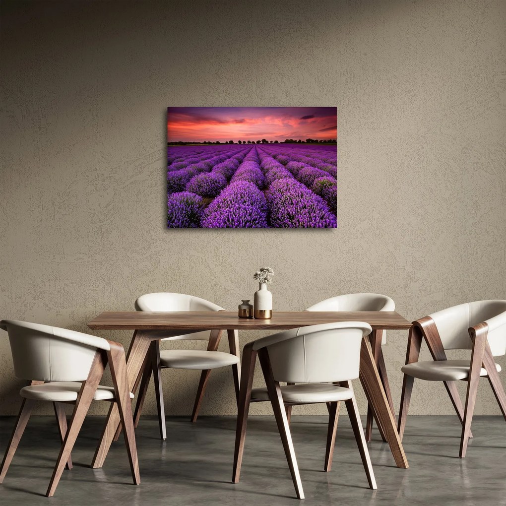 Kép - Levendula mező (70x50 cm)