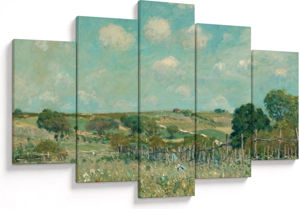 Kép - Alfred Sisley,  Meadow, reprodukciók (150x105 cm)