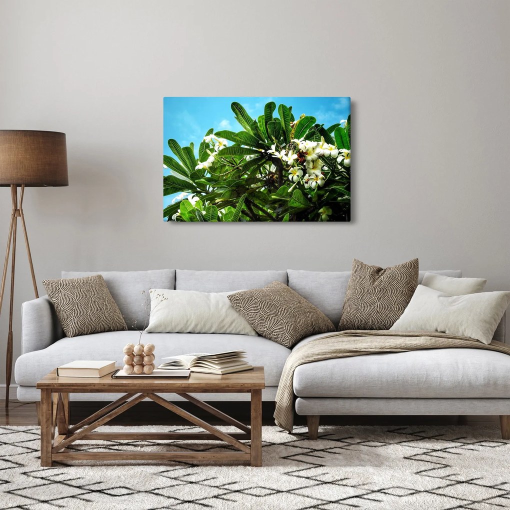 Kép - Plumeria (90x60 cm)