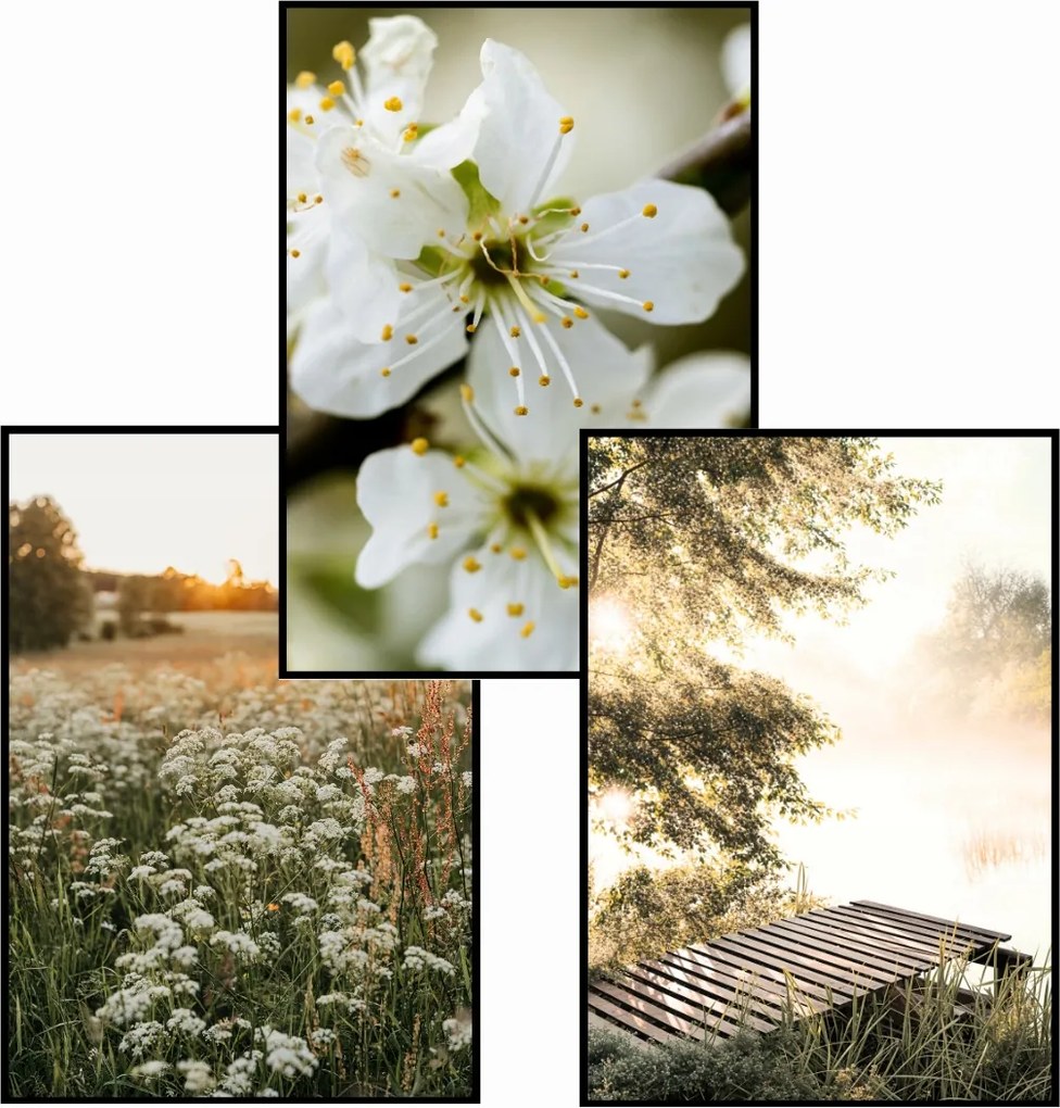 Poszter szett 3x 50x70 tájképek a napsütésben eviero természet rét tó móló