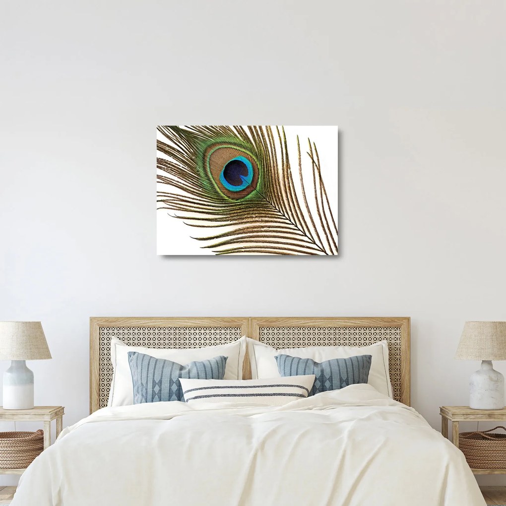Pávatoll képe (üvegen) (70x50 cm)