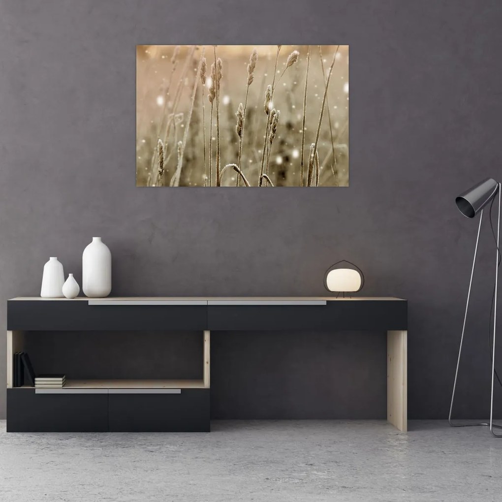 Kép - Harmonikus rét (90x60 cm)