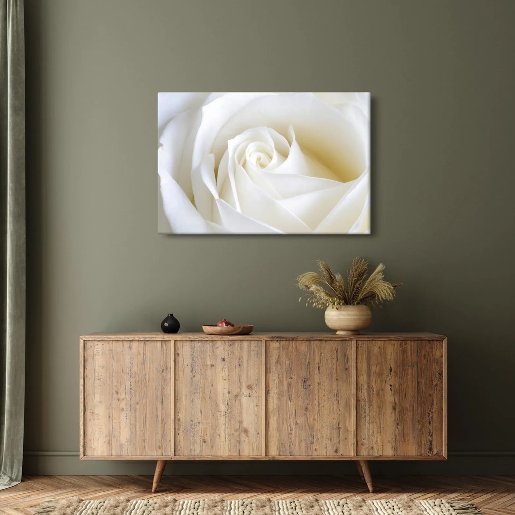 Egy fehér rózsa képe (90x60 cm)