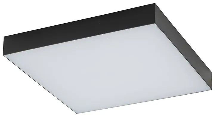 Lid