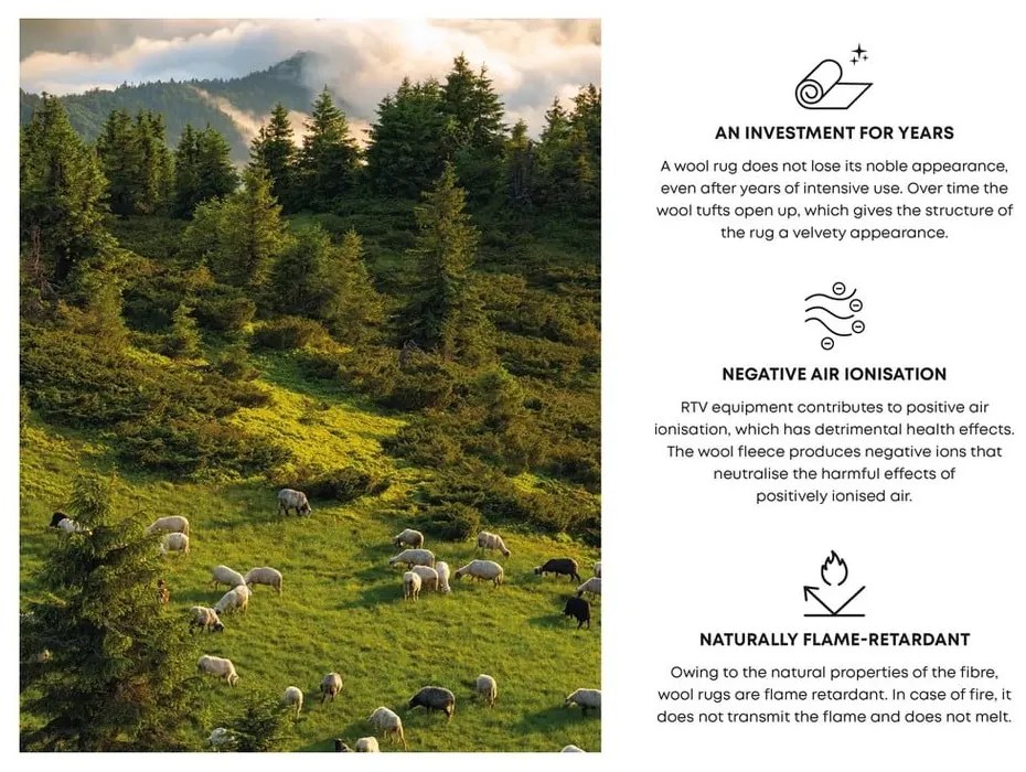 Krémszínű gyapjú szőnyeg 300x400 cm Botany – Agnella