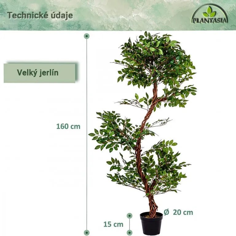 PLANTASIA Műnövény fikusz 160 cm