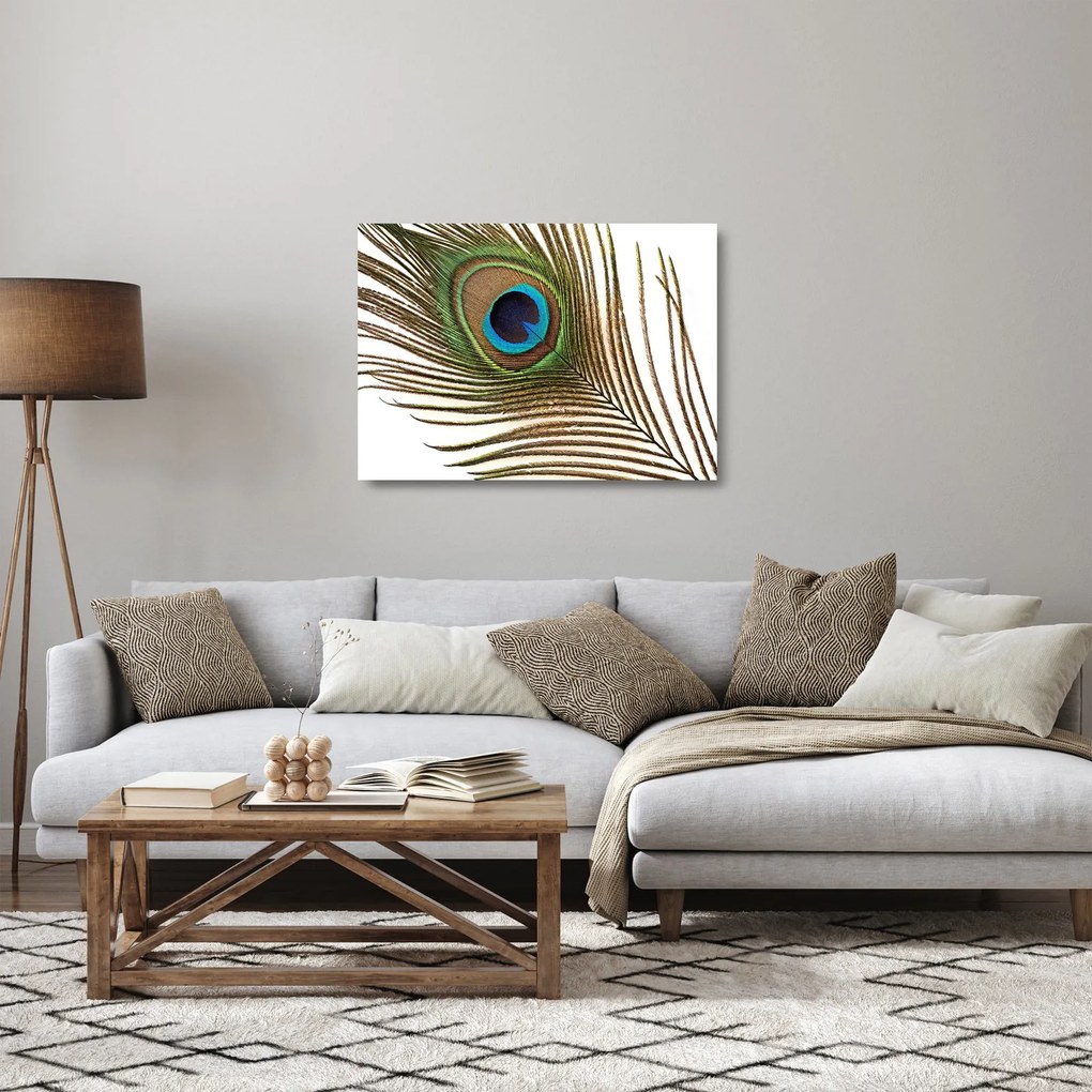 Pávatoll képe (üvegen) (70x50 cm)