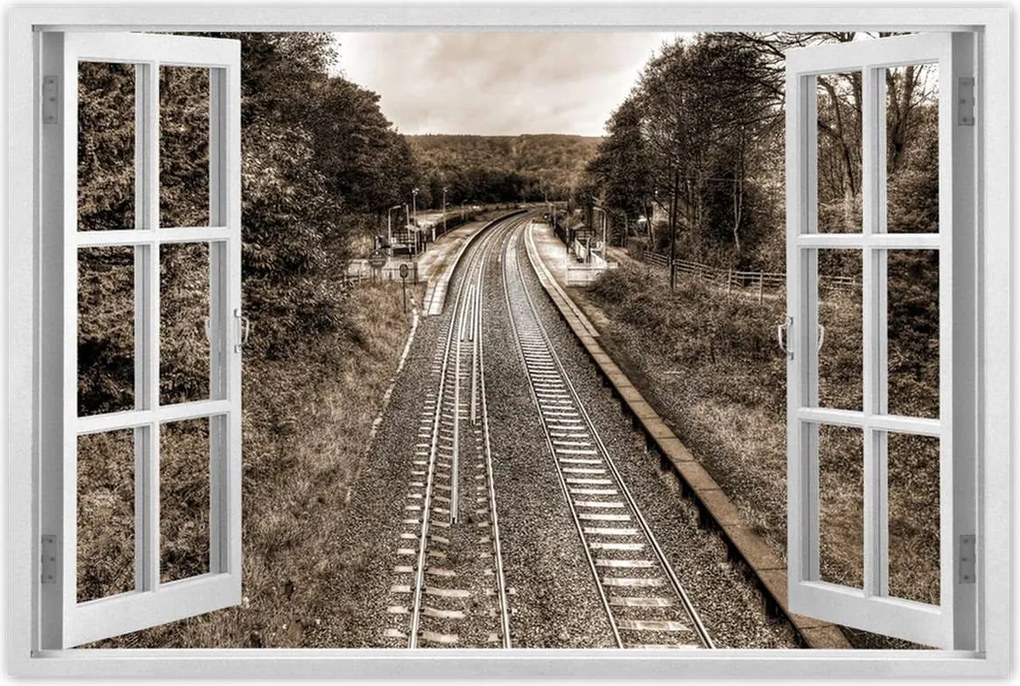 Poszterek 90x60 Tóra szépia fotó