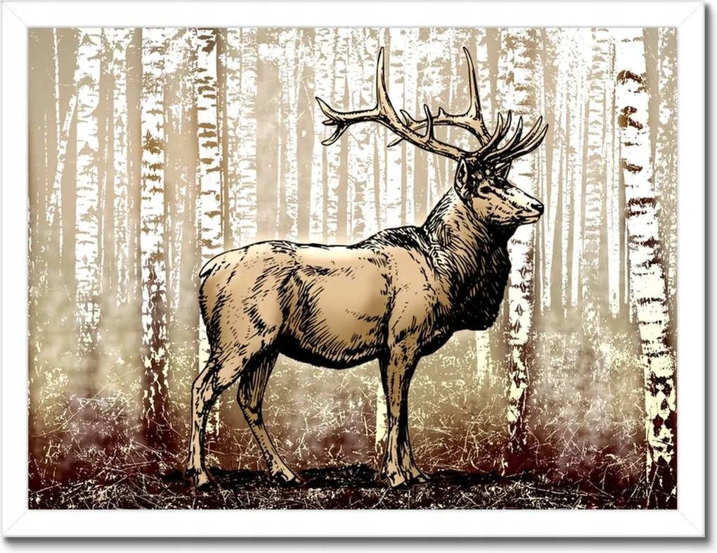 Poszterek keretben 40x30 Szarvas a nyírfaerdőben