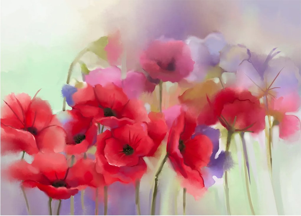 A mák képe (70x50 cm)