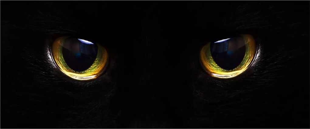 Kép - Macskaszemek (120x50 cm)