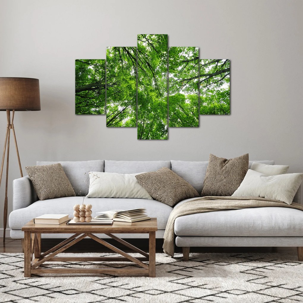 Kép - Kilátás a fák tetejére (150x105 cm)