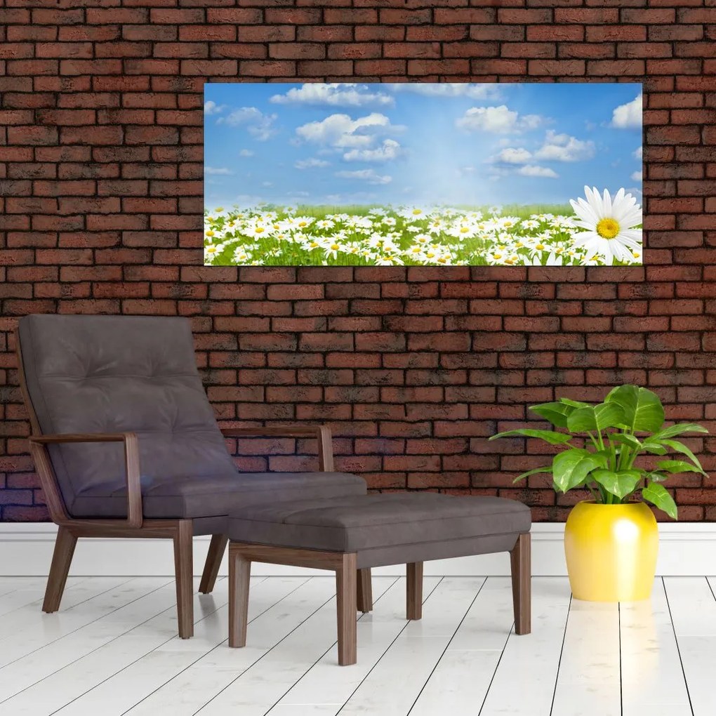 A virágzó rét százszorszépekkel képe (120x50 cm)