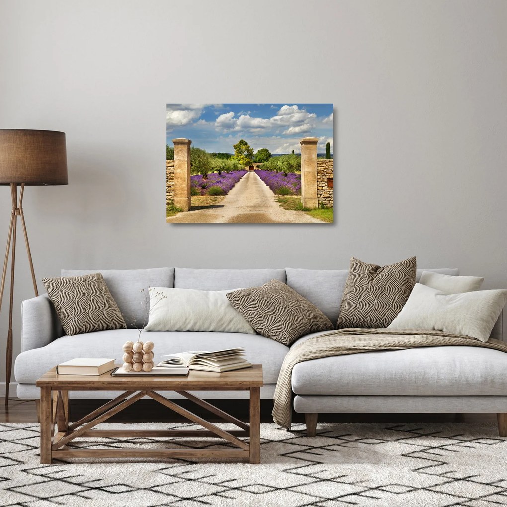 Üveg kép - Levendula ösvények (70x50 cm)