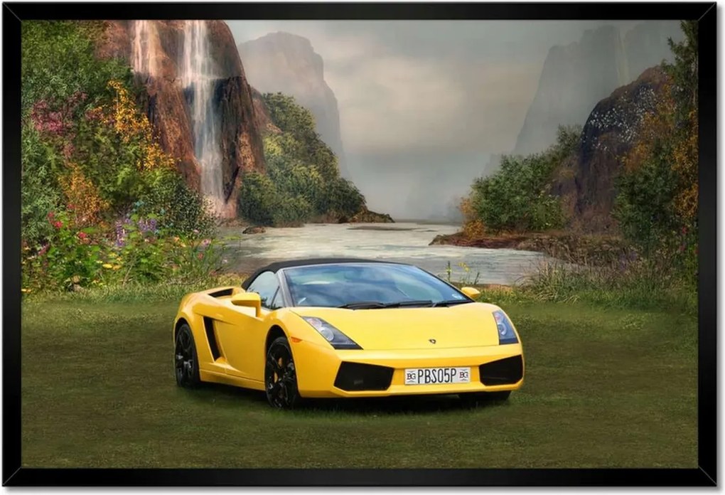 Poszterek keretben 60x40 Ayto a varázslatos réten