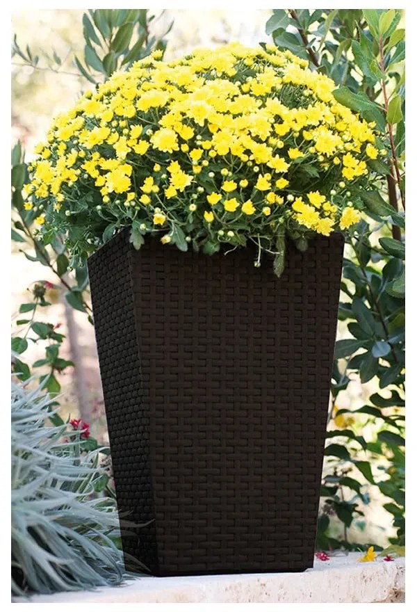 Műanyag kaspó Rattan – Keter