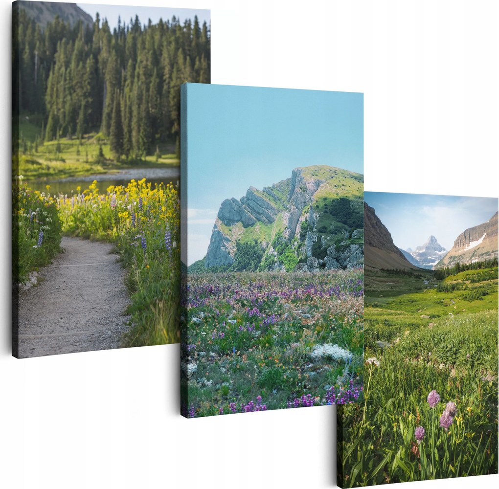 Vászonkép 150 cm **többféle minta** Nappali Képek Triptichon Virágok