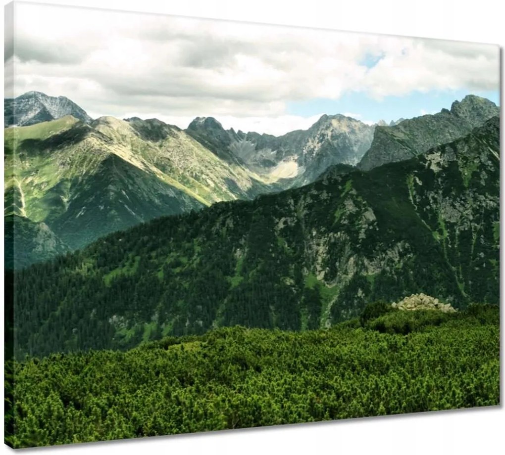 Vászonkép 50x40 Tátra Lengyel hegyek Kilátás