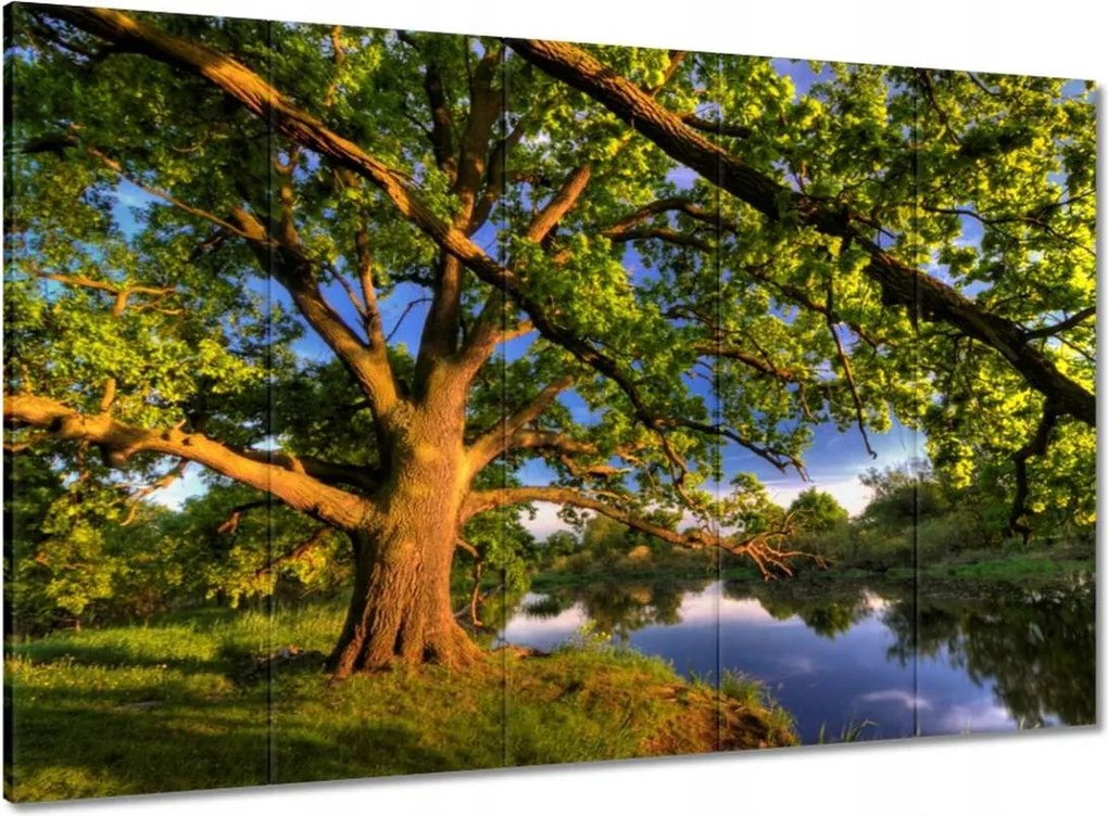 Vászonkép 100x70 Tölgy a croissant-ban Nyugat