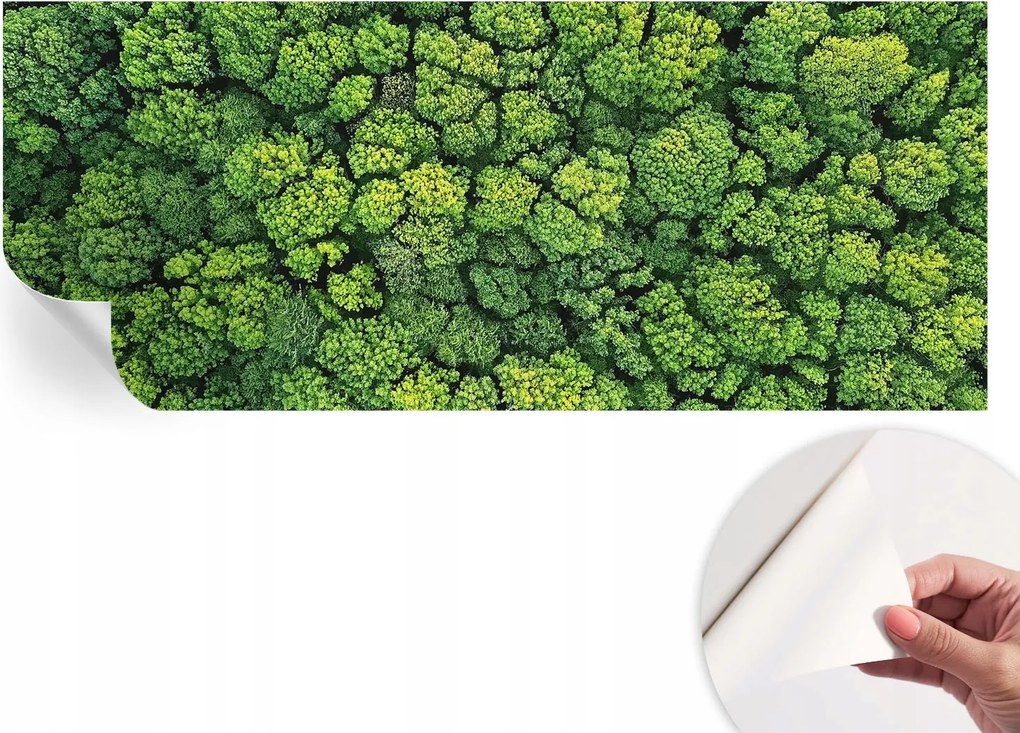 Öntapadós tapéta Divatos 3D fali ragasztóval Erdei panoráma 250x104 cm