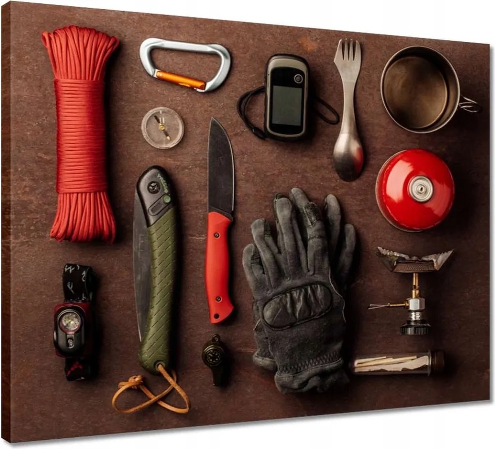 Vászonkép 50x40 Túlélő szett