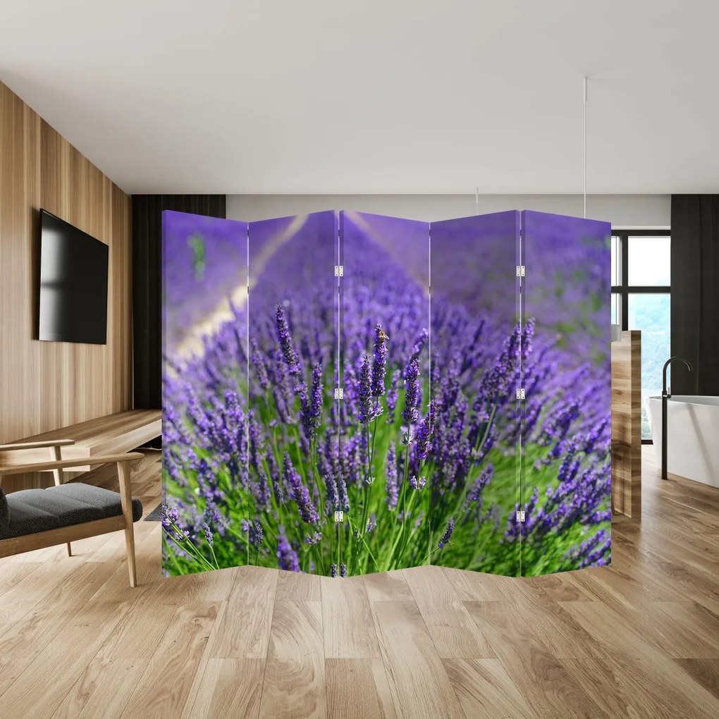 Paraván - Levandula (210x170 cm)