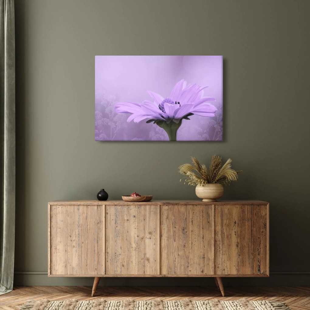Kép - Ibolya virág (90x60 cm)