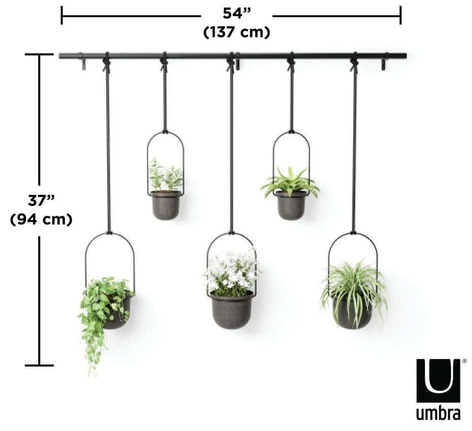 Műanyag kaspó 5 db-os fűszernövényekhez -függő és fali ø 7,5 cm Triflora – Umbra