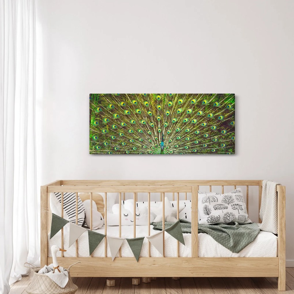 Kép - Páva (120x50 cm)