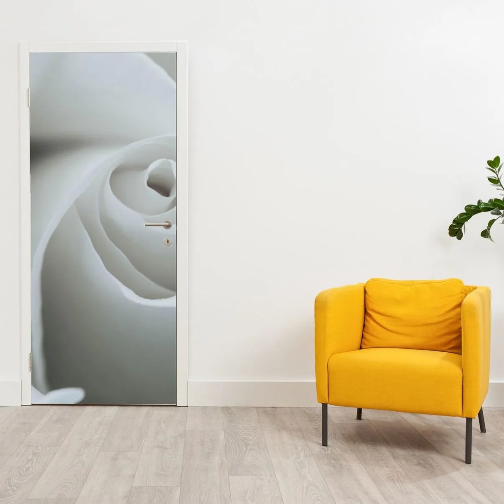 Fotótapéta ajtóra - Fehér rózsa (95x205cm)