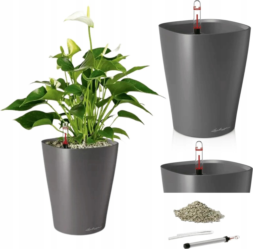 Deltini Lechuza önöntöző kaspó Antracit Fényes Lechuza Pon