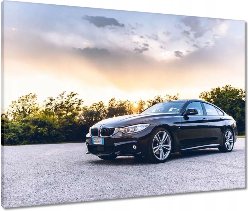 Vászonkép 80x60 Fekete Bmw