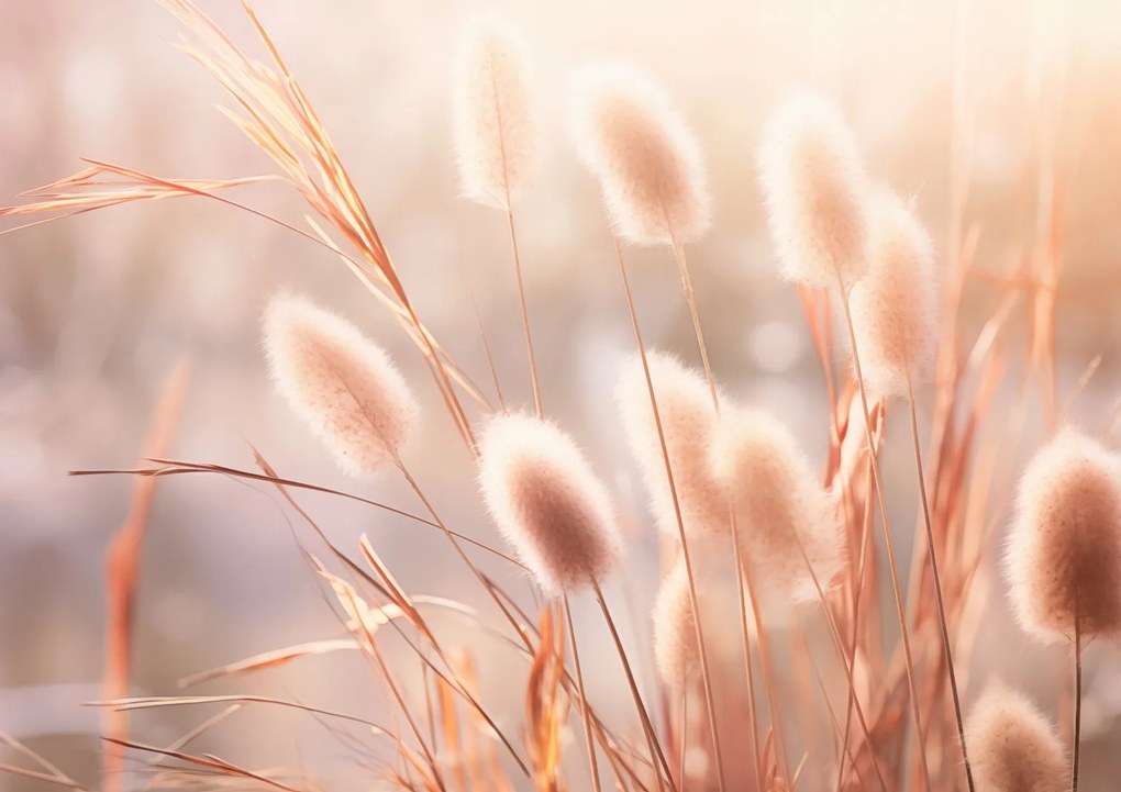 Poszter 84,1x59,4cm Napvirágok