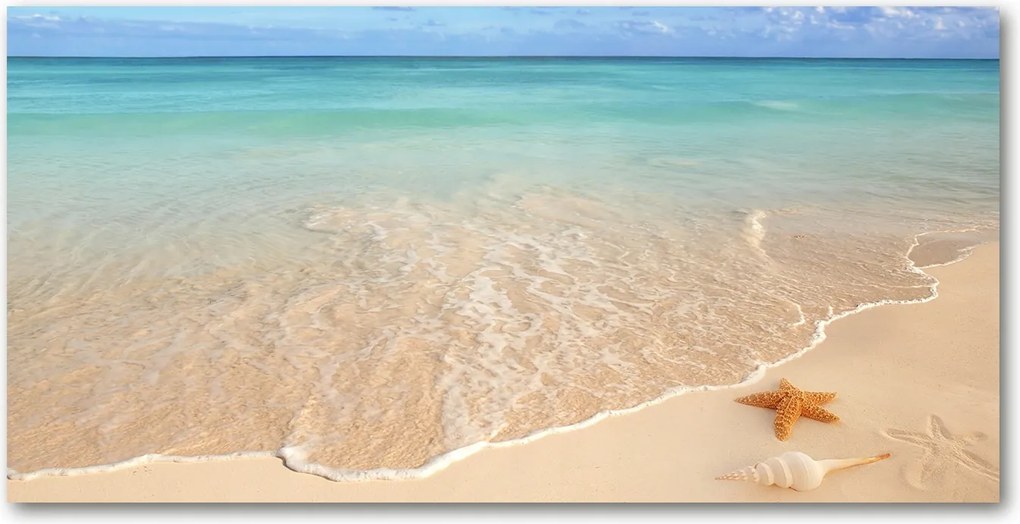 Lacobel Panel Tengeri csillag a tengerparton 140x70 cm Ragasztó