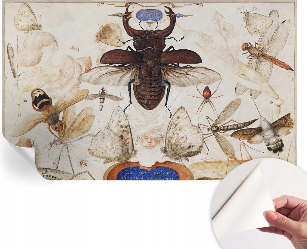 Öntapadós fotótapéta Falra 3D Loft Természetes harmónia 416x254 cm